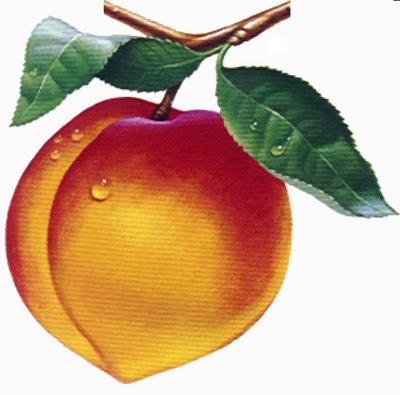 Cartoon Peaches Tree - ClipArt Best