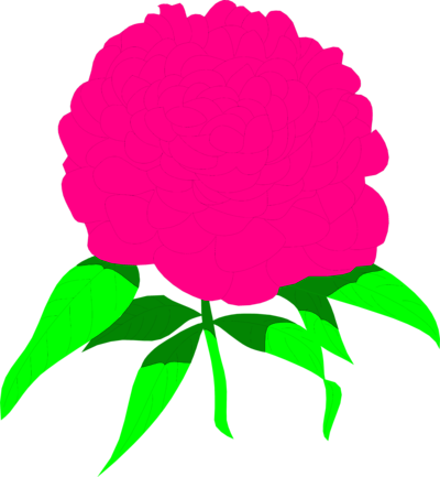 Peony Clip Art - ClipArt Best