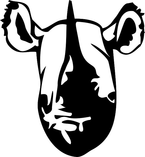 Free pictures RHINO - 55 images found