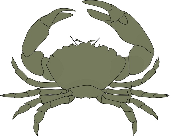 Crab clip art Free vector in Open office drawing svg ( .svg ...