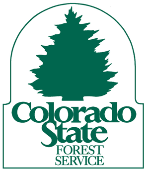 Alamosa Trees: Colorado's San Luis Valley