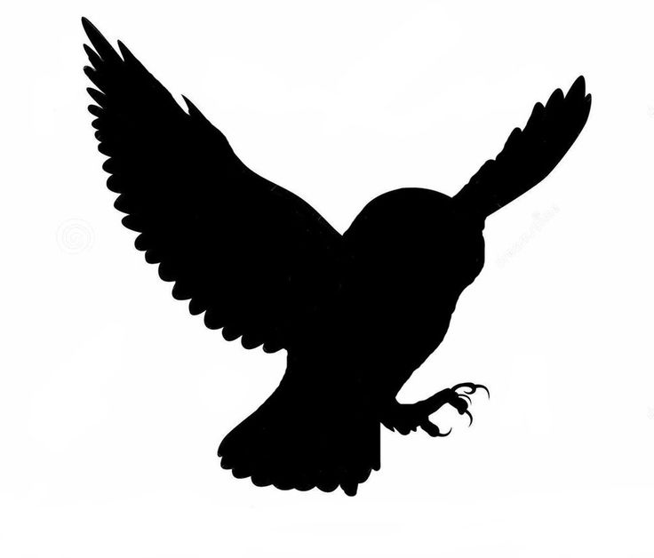Owl Silhouette | Drawing Owls, Tree ...