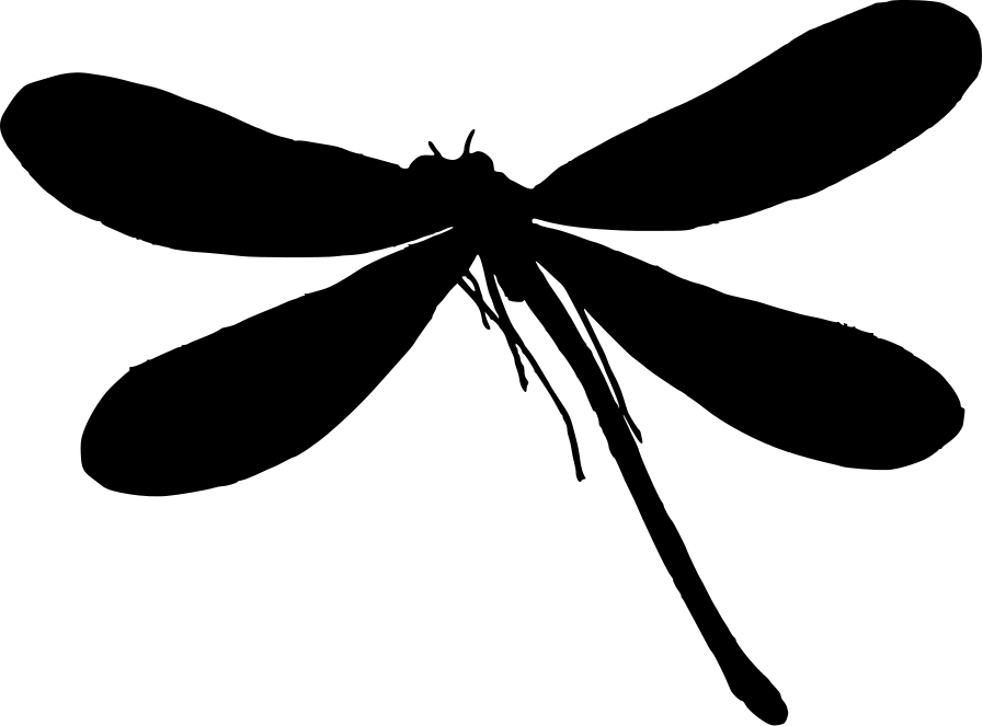 Dragonfly Vector | Free Download Clip Art | Free Clip Art | on ...