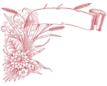 Victorian Clipart Borders