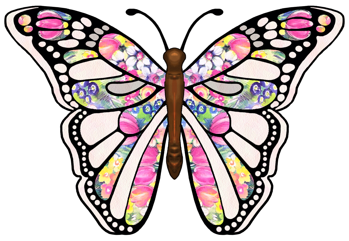 Pictures Of Butterflies | Free Download Clip Art | Free Clip Art ...