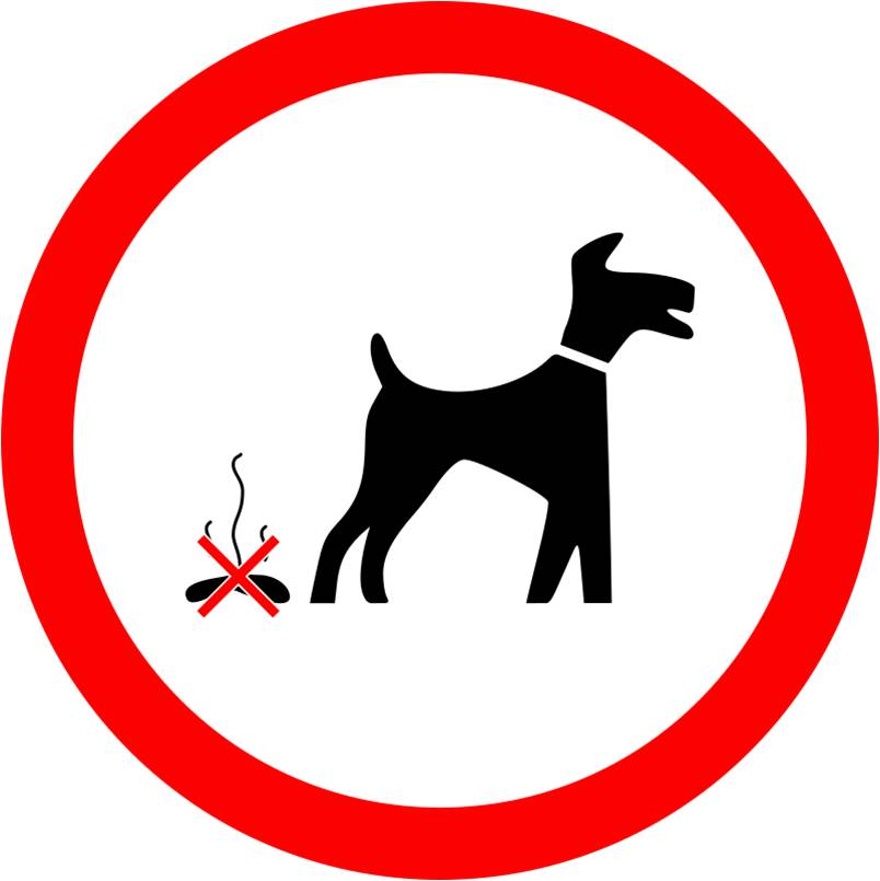 There Is No Poop Fairy