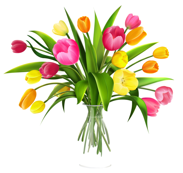 1000+ images about Flowers and Insects