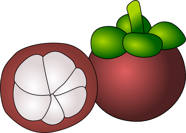 Purple Mangosteen Clip Art - vector clip art online ...