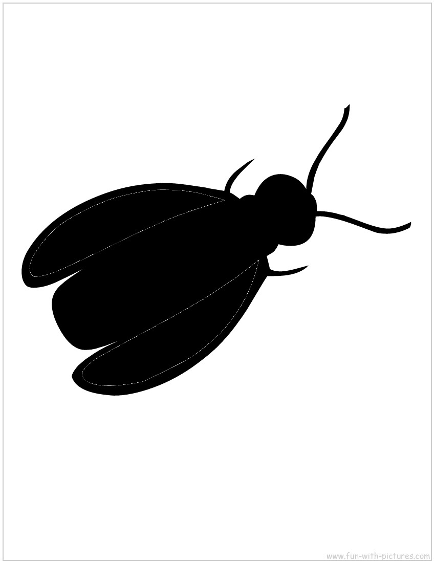 fly-silhouette.jpg