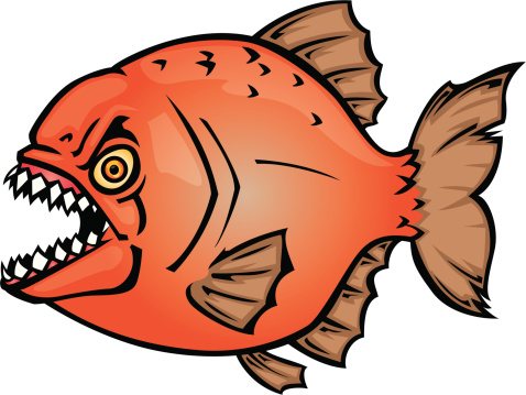 Piranha Clip Art, Vector Images & Illustrations