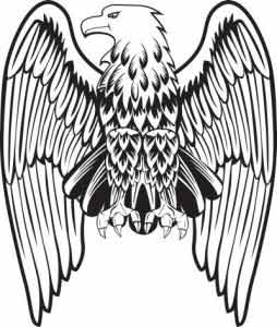 Eagle Wings Drawing - ClipArt Best