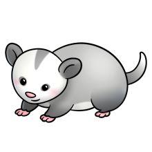 Possum clip art - ClipartFox