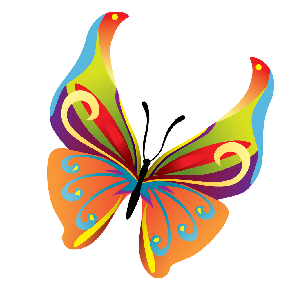 14 Colours butterfly vector Free Vector / 4Vector