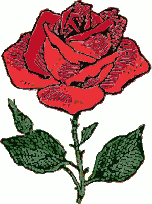 Rose drawing clipart