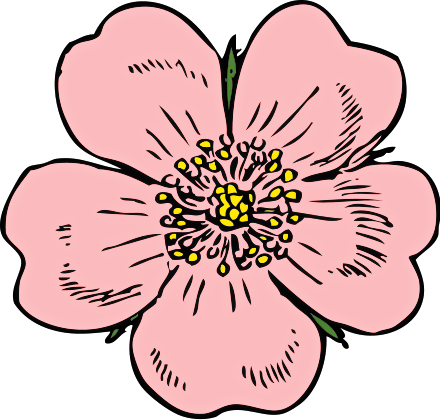Free Poppy Clipart - Public Domain Flower clip art, images and ...