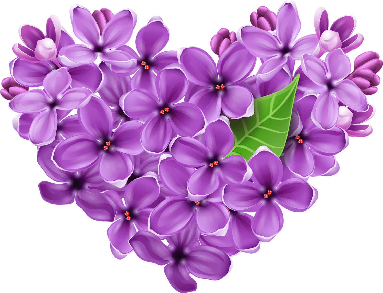 Purple lilac heart png picture clipart best clipart best