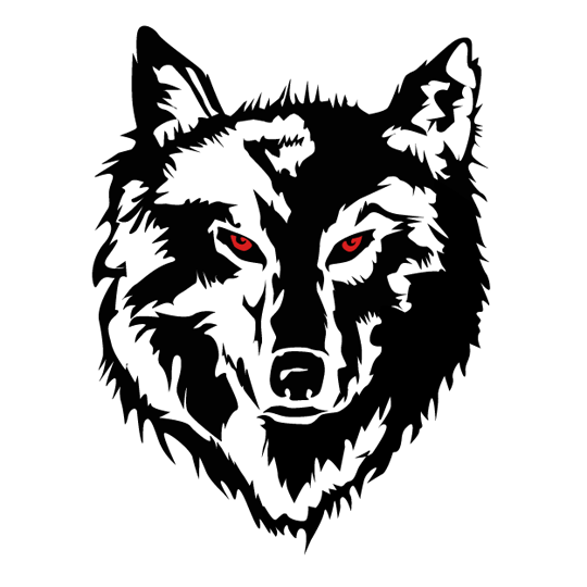 Black Wolf | Stingfire – Andy Nguyen