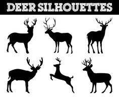 Animal Silhouette