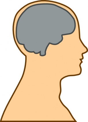 Medical Diagram Of Brain clip art vector, free vector images