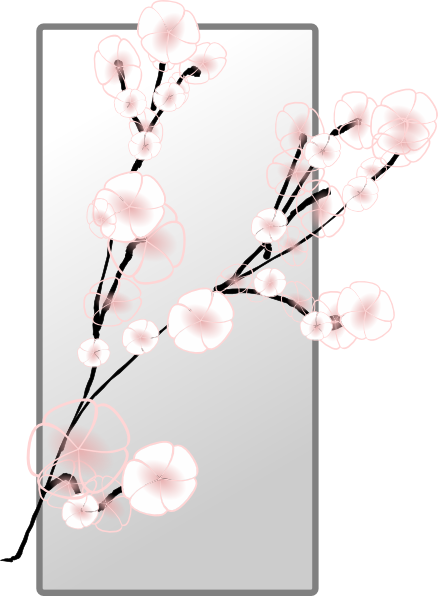 cherry blossom clipart
