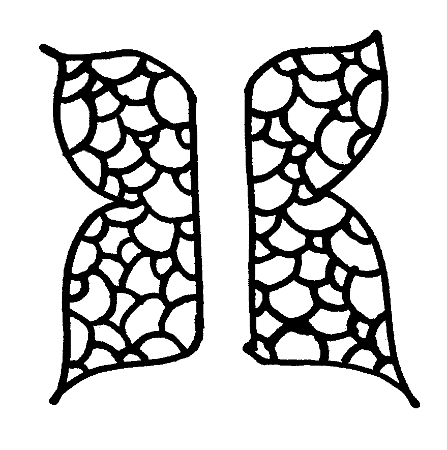 Chocolate Butterflies