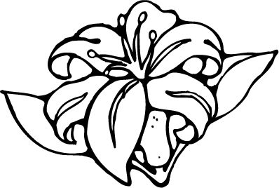 Hibiscus Flower Coloring Page