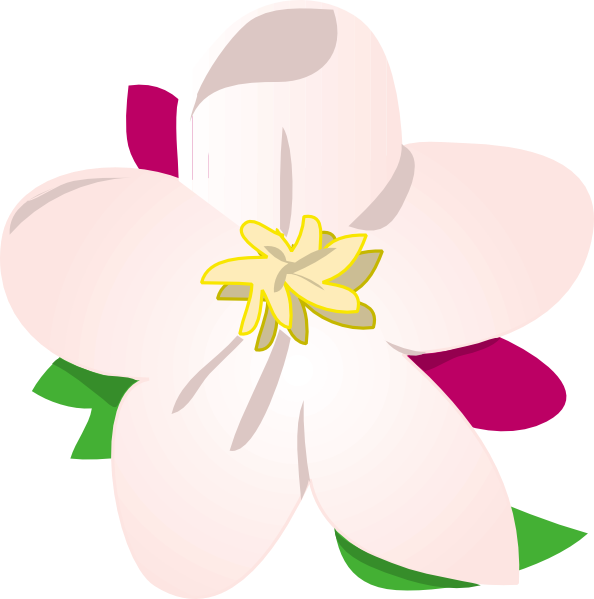 Apple Blossom clip art Free Vector