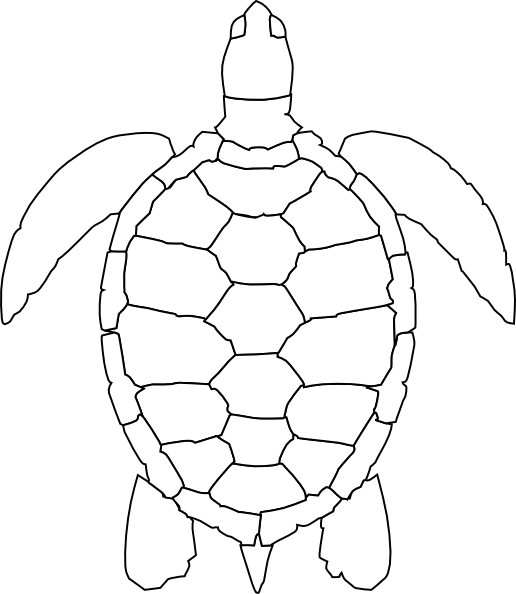 Turtle Outline clip art - vector clip art online, royalty free ...