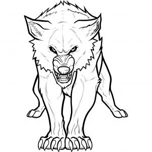 How to Draw a Twilight Wolf, Twilight Wolf, Wolf Jacob, Step by ...