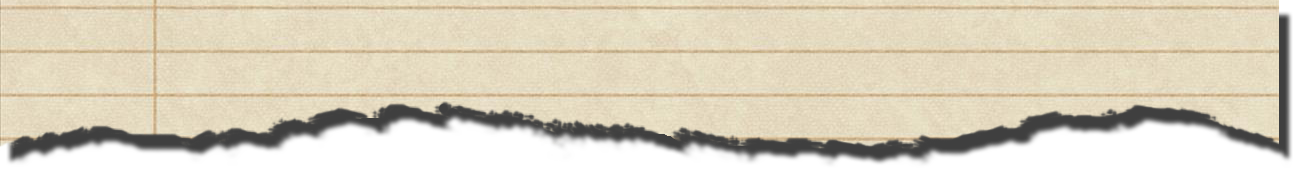 torn_paper_header.png