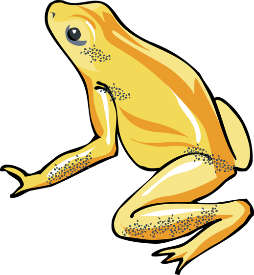 Frog Clip Art