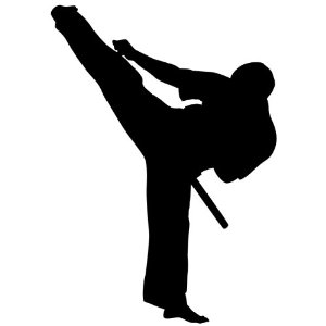 Karate Silhouette Clipart