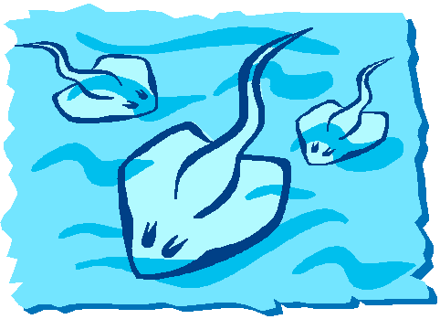 Reproducin' Rays