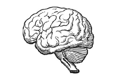 brain-sketch.jpg
