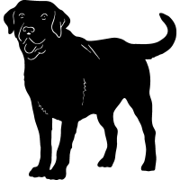 Free labrador retriever clipart