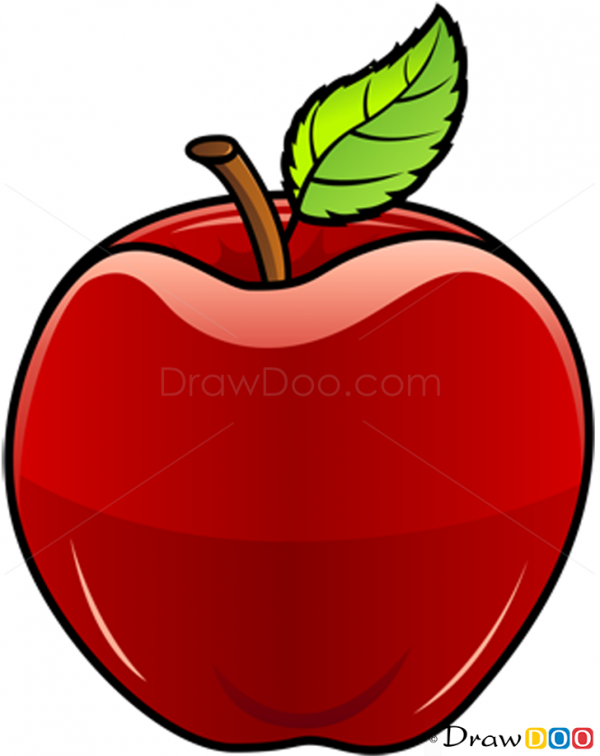 img.php?src=http://drawdoo.com/wp-content/uploads/tutorials/Fruits/lesson09/step_00.png&amp;w=665&amp;h=&amp;zc=1&amp;q=60&amp;a=t