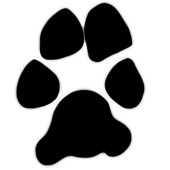 Leopard paw prints clip art clipart image #1153