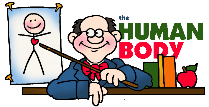Animated human body clipart