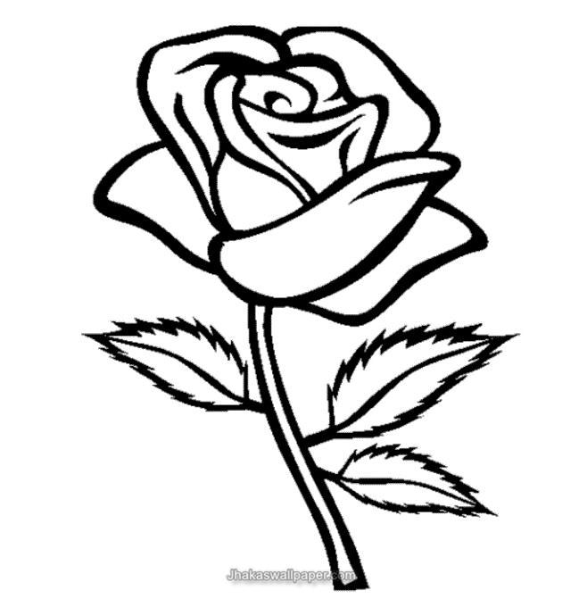 Rose Pictures To Colour - Techfixusa.com