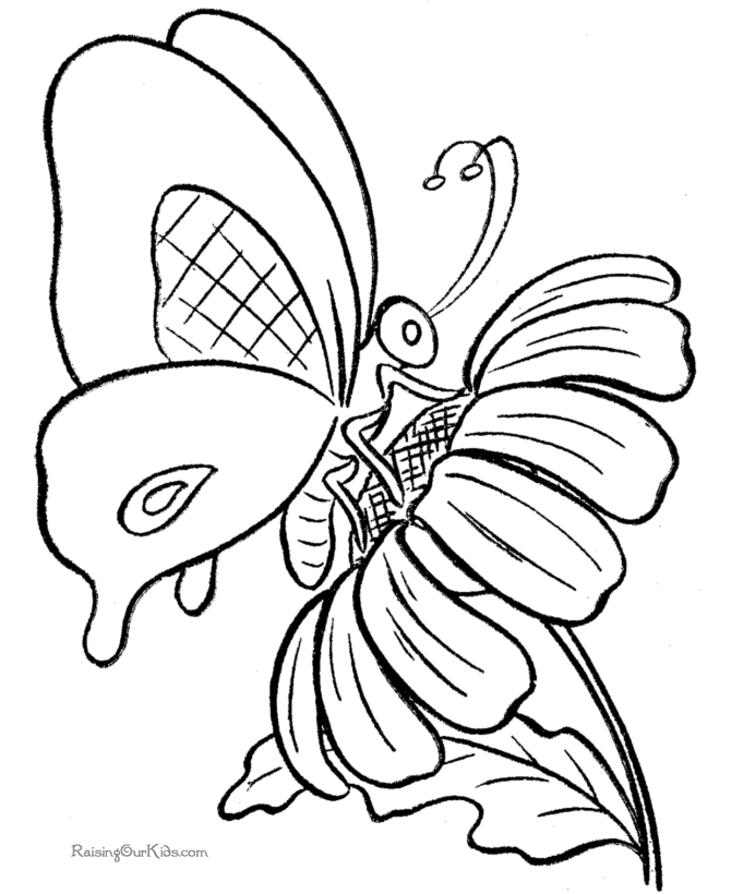 Butterfly Coloring Pages, sheets and pictures!