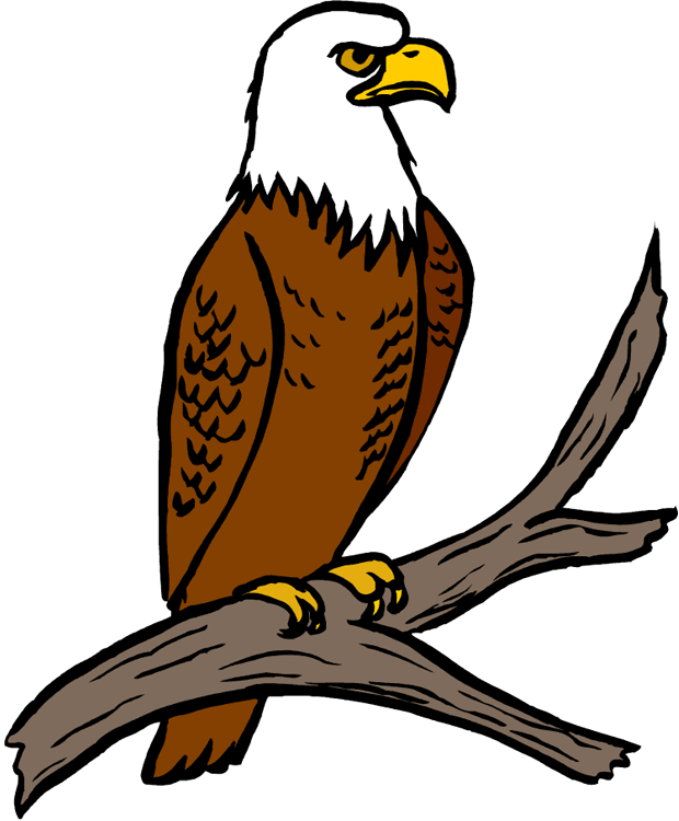Eagle Clipart - Tumundografico