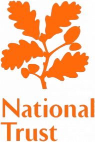 The leaf, Logos and Natural