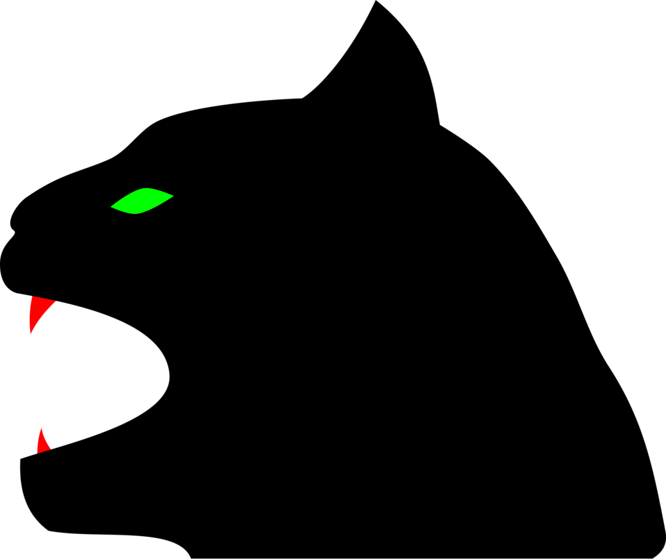 Black Cat Illustrations