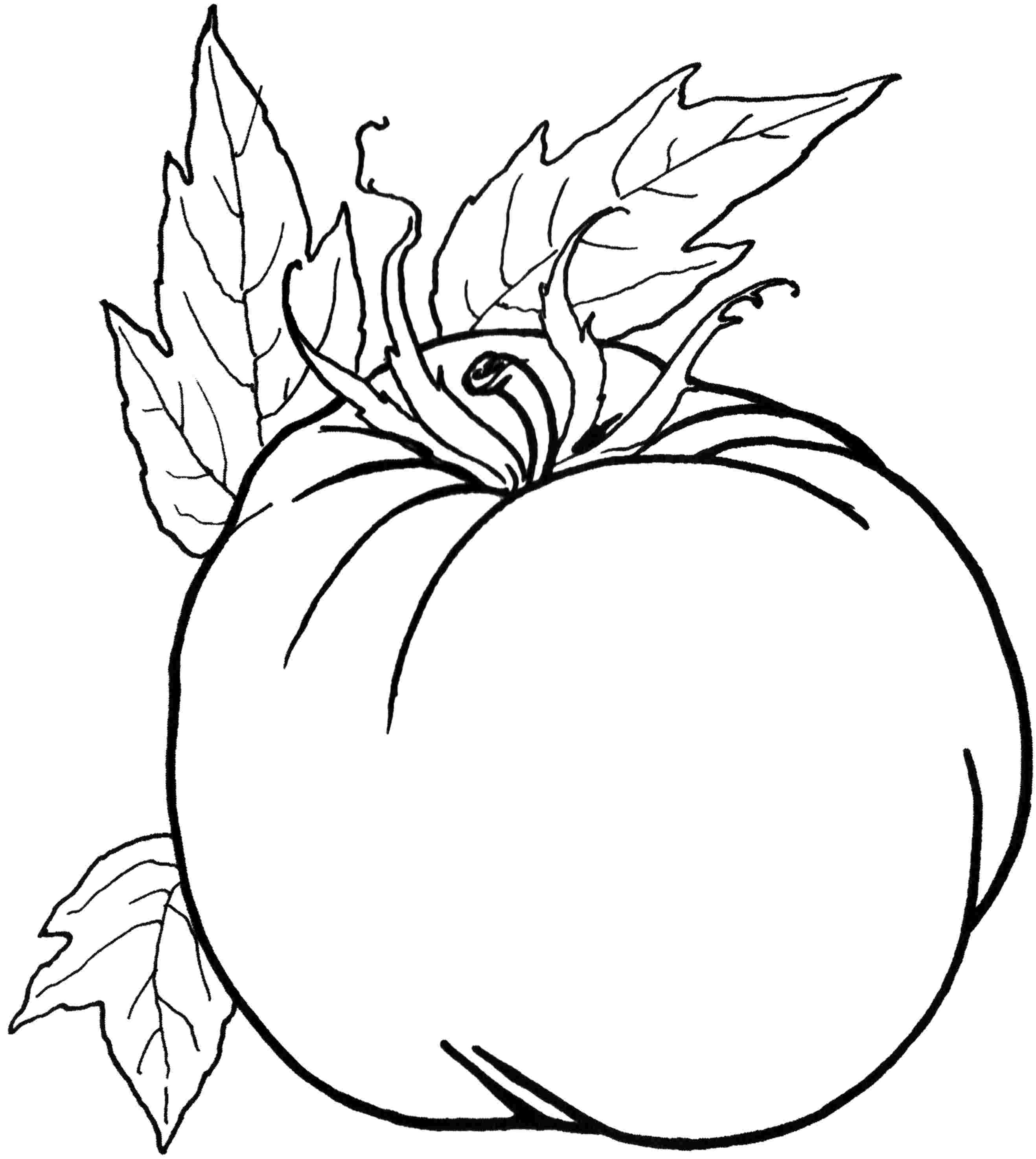 1000+ images about fruit/ groenten/ voeding ...