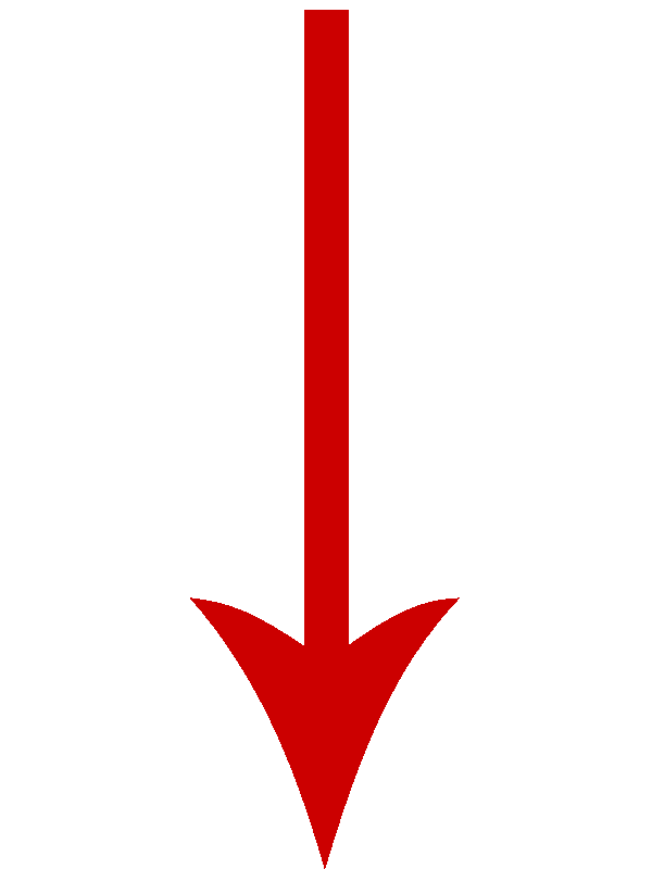 Red Arrow Down