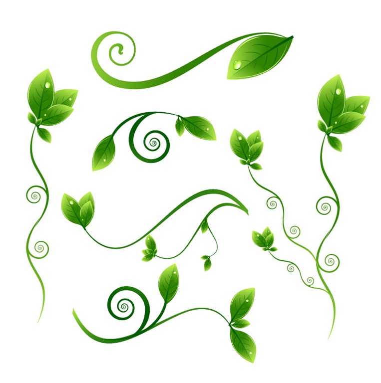 Flower Green Leaves Clip Art – Clipart Free Download