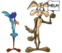 Cats, Coyotes and The o'jays