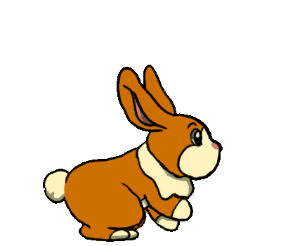 Rabbit Animated Gif
