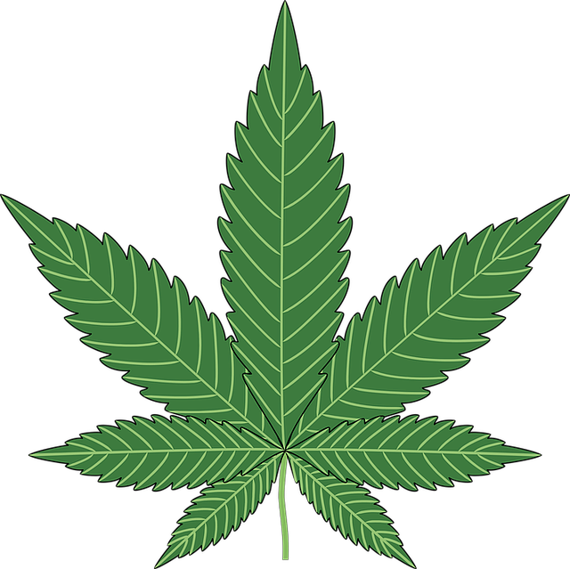 Free photo Weed Symbol Drug Leaf Marijuana Icon Cannabis - Max Pixel