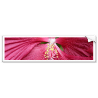 Pink Hibiscus Flower Bumper Stickers, Pink Hibiscus Flower Car ...